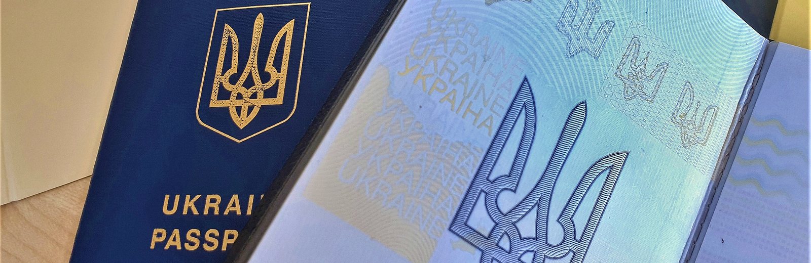 Паспорт гражданина Украины
