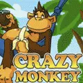 Игровые автоматы Crazy Monkey