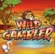 игровой автомат wild gambler