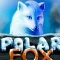 игровой автомат Polar Fox