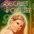 Игровые автоматы Secret Forest