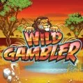 игровой автомат wild gambler